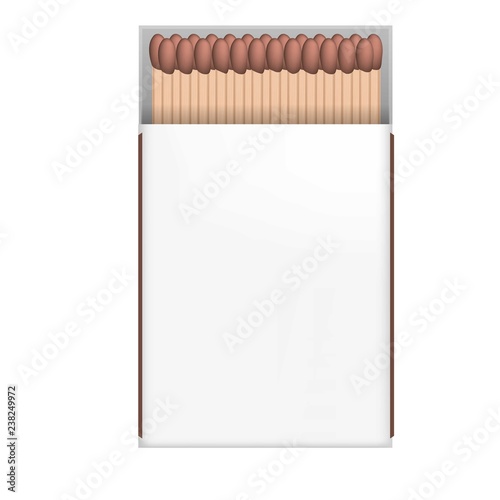 Box matches icon. Realistic illustration of box matches vector icon for web design isolated on white background