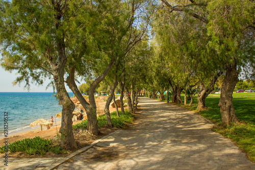 Fototapeta Naklejka Na Ścianę i Meble -  tropic south park outdoor natural environment along Aegean sea shore line waterfront road between trees in clear vivid summer weather time