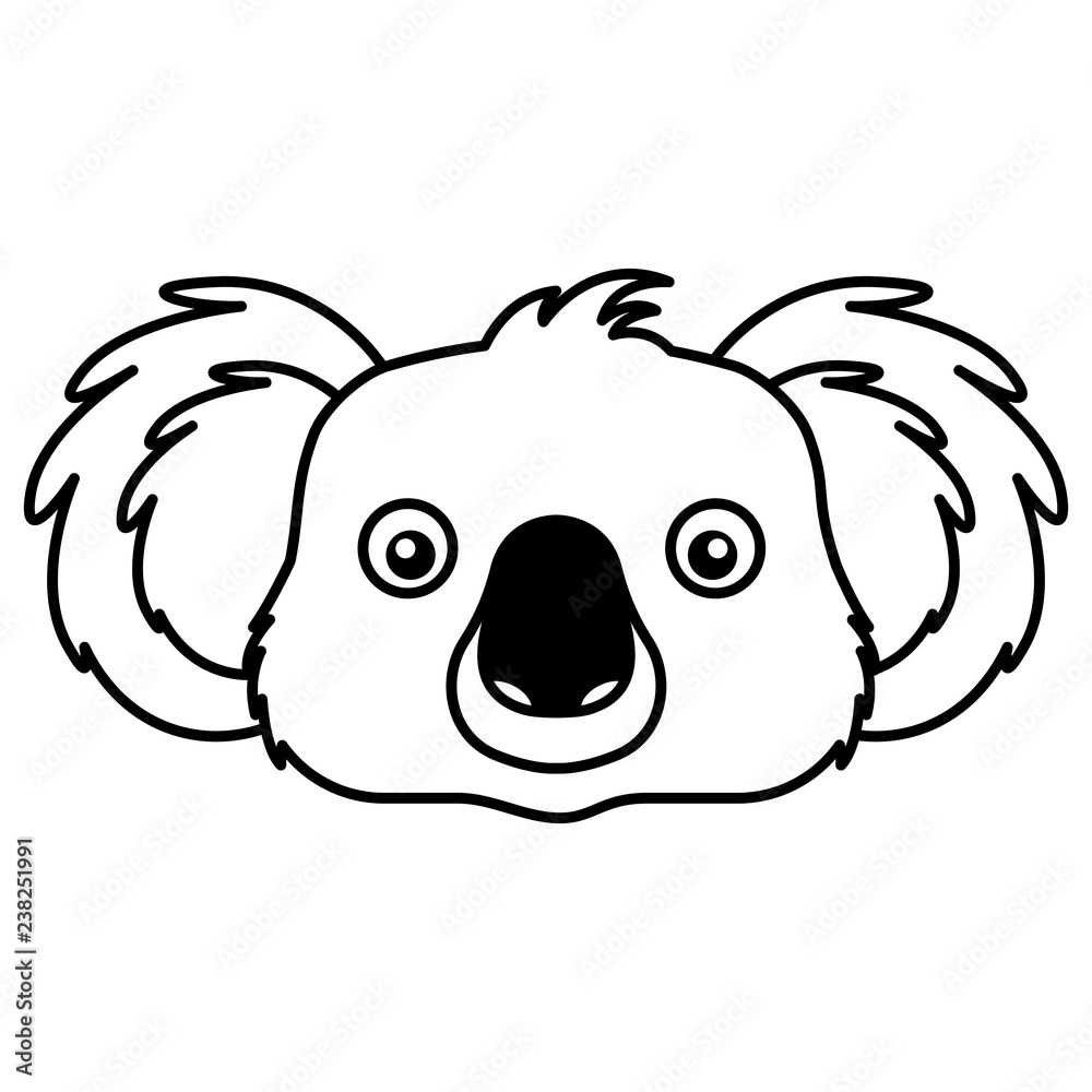 Fototapeta premium koala face australian wildlife white background