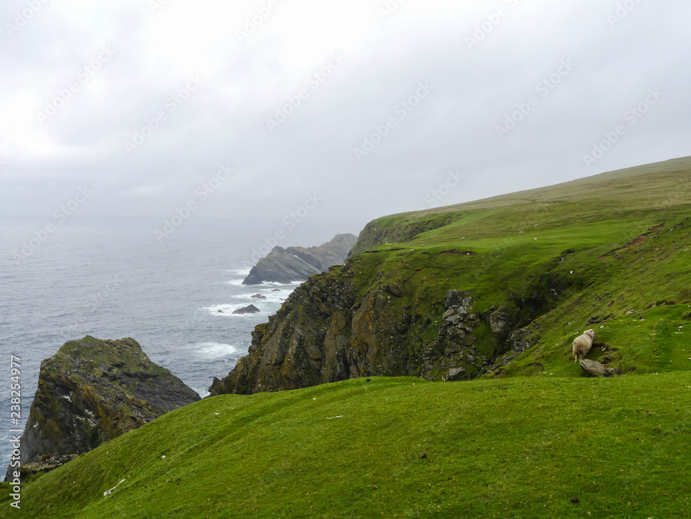 shetland landscape with ocean and mountains