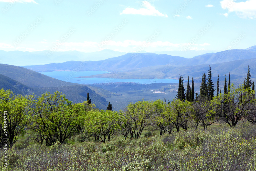 Fototapeta premium View of the area surrounding Delphi, Greece in spring