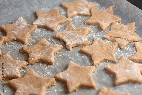 rolled out dough on a protvin with cut out figures for baking cookies photo