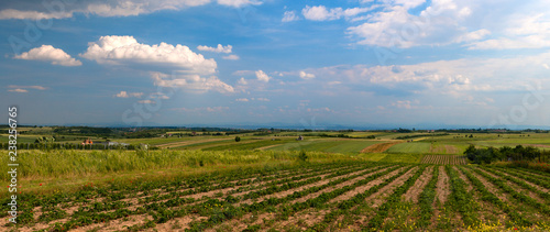 Fototapeta Naklejka Na Ścianę i Meble -  Rural Landscape