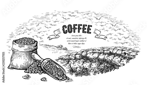 coffee plantation landscape bag bush and scoop in graphic style hand-drawn vector illustration.