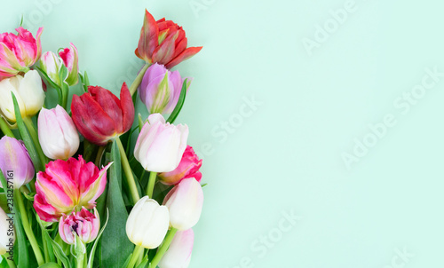 Bouquet of tulips flowers on pastel green background with copy space