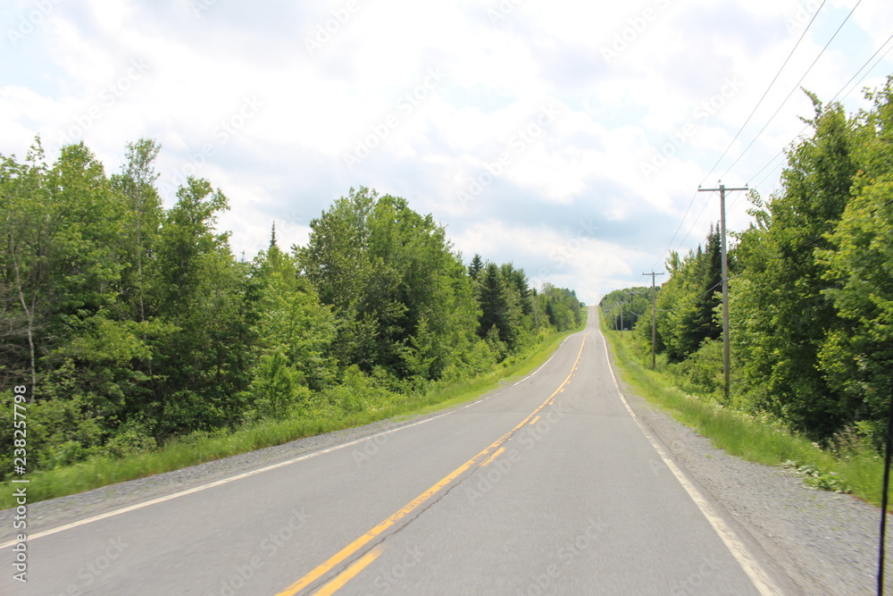 Fototapeta premium nature on the roads