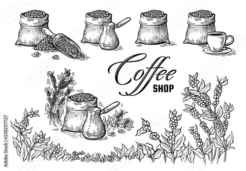 set of coffee beans in bag and other elements in graphic style vector illustration