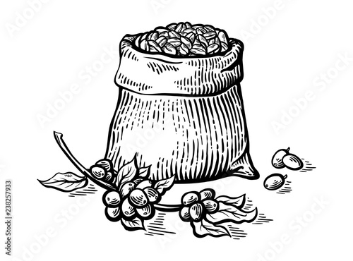 coffee beans in full bag in graphic style vector illustration