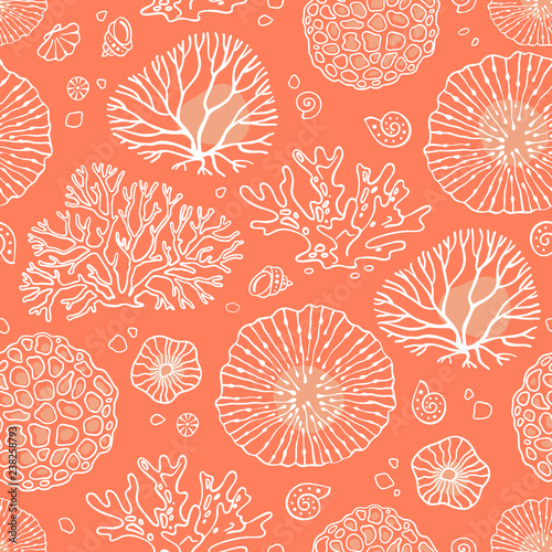 Seamless pattern vector with corals