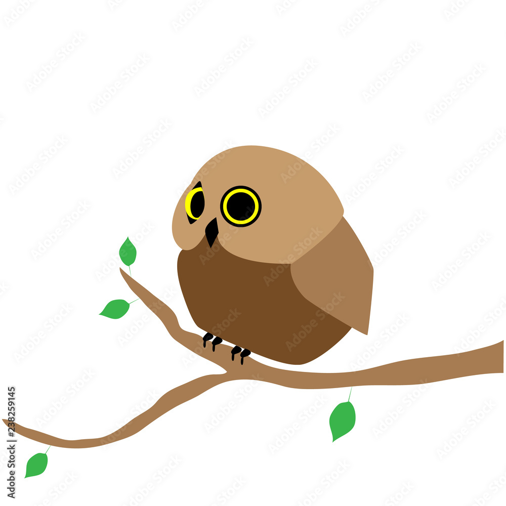 Obraz premium Little cute owl on a tree branch