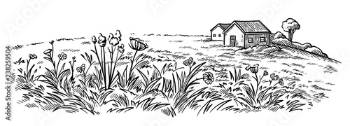 field near the village houses in the background and flowers vector