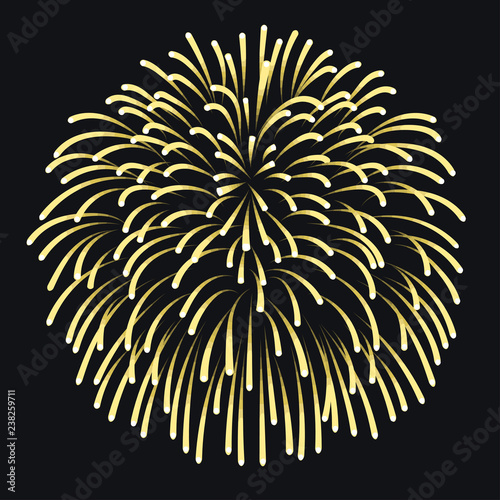 Firework on night background, anniversary bursting fireworks