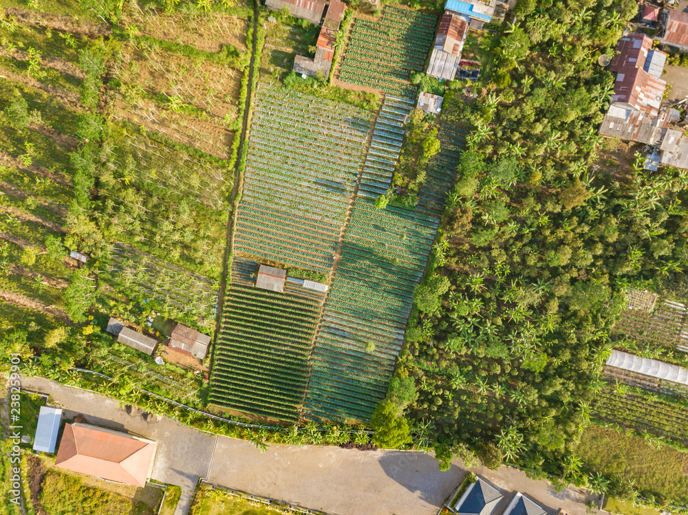 Aerial top view to small village on the bank of lake Buyan, caldera lake at Bali island. Green paradise landscape, green natural photo background. Indonesia. Aerial top view to small village on the bank of lake Buyan, caldera lake at Bali island. Green paradise landscape, green natural photo background. Indonesia.