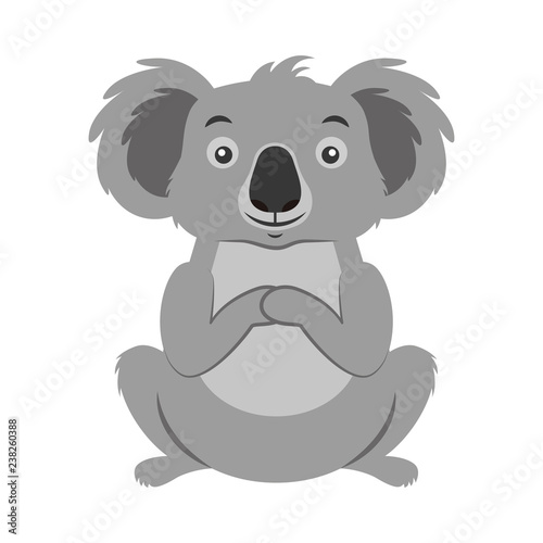 koala australian fauna on white  background