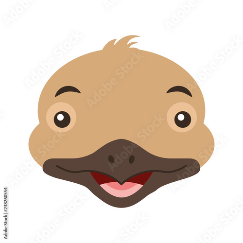 emu face australian wildlife white  background