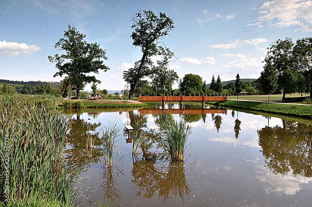Fototapeta premium park and pond