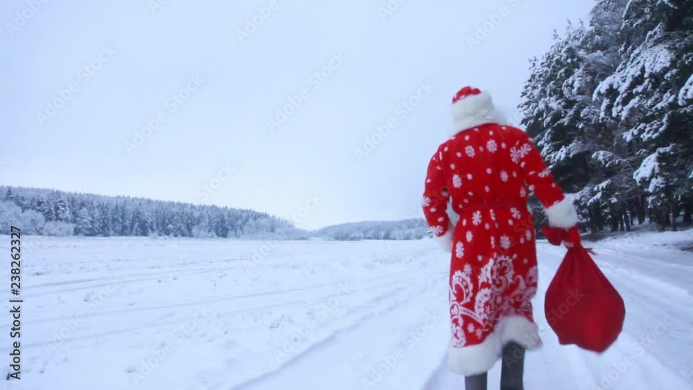 Santa Claus walking on a road in a winter forest Santa Claus walking on a road in a winter forest