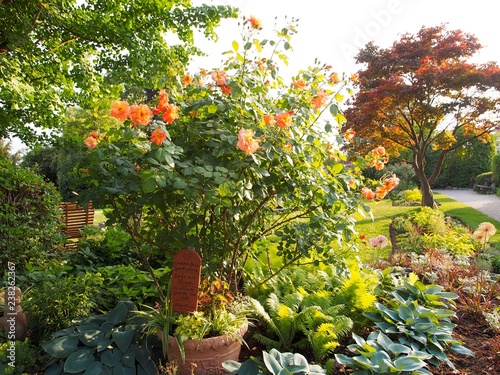 Duftgarten - Blumen, Kräuter und Gewürze beleben die Sinne der Gartenbesucher