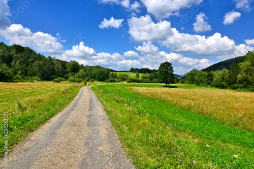 Rural asphalt road and green grass field on summer sunny day