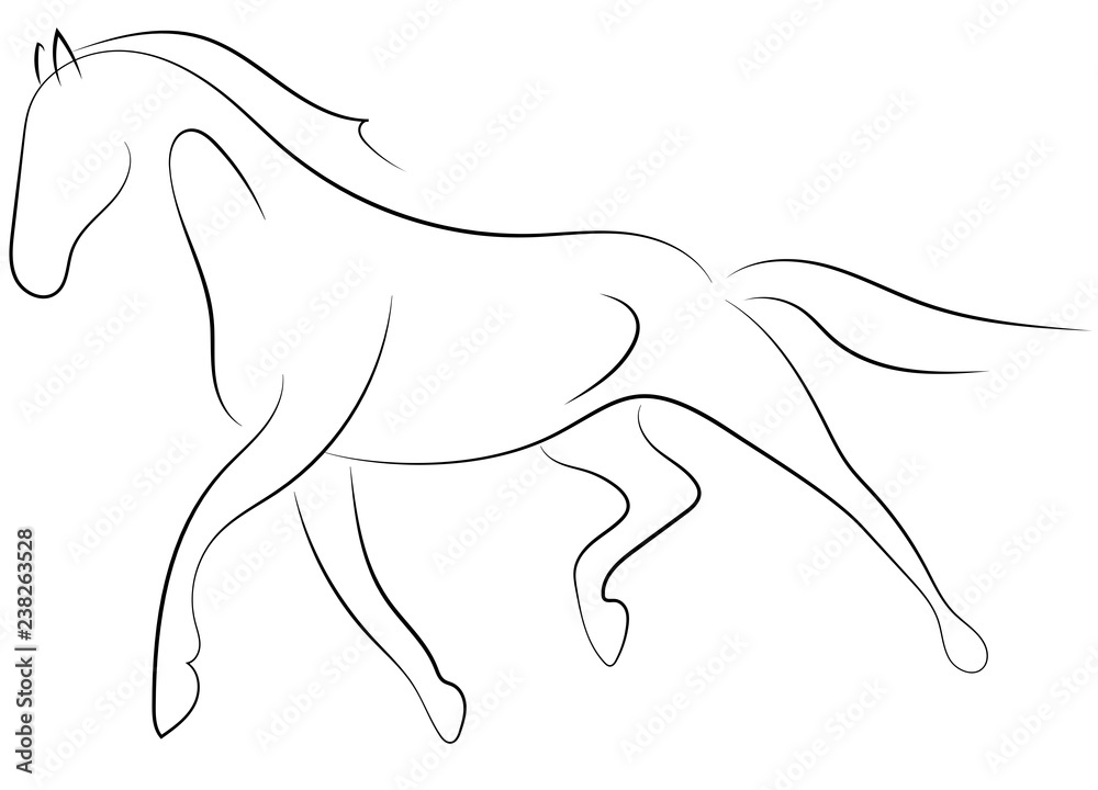 Fototapeta Black line horse on white background. Running horse sketch style. Vector graphic icon animal.