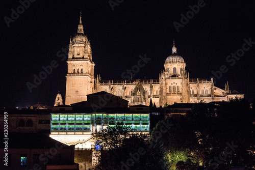 SALAMANCA CATEDRALES CASA LIS DE NOCHE