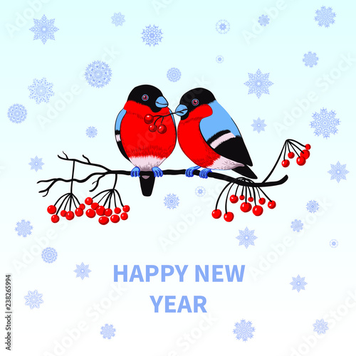 Happy new year greeting card with bullfinches