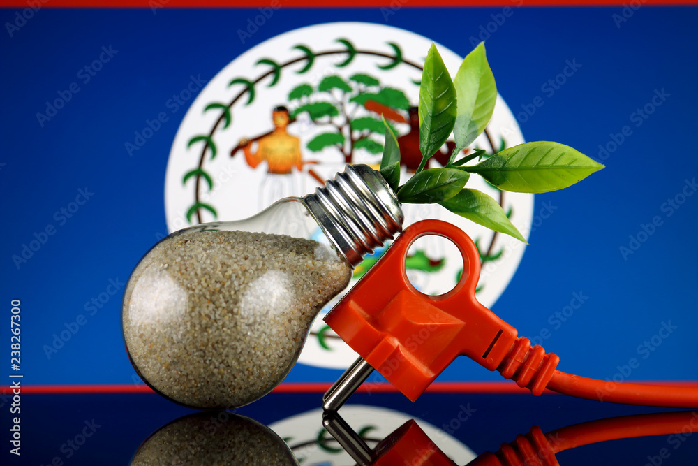 Plug, plant growing inside the light bulb and Belize Flag. Green eco renewable energy concept