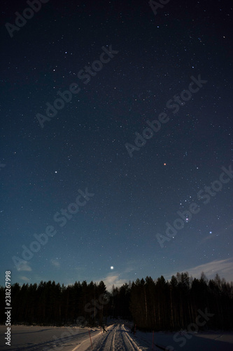 Orion constellation and Sirius above forest in winter sky.