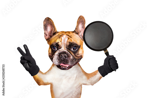 french bulldog - culinary specialist , cook on white isolated background keeps © vika33