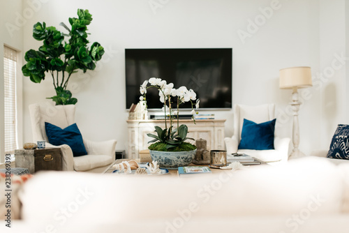 bright and beachy interior