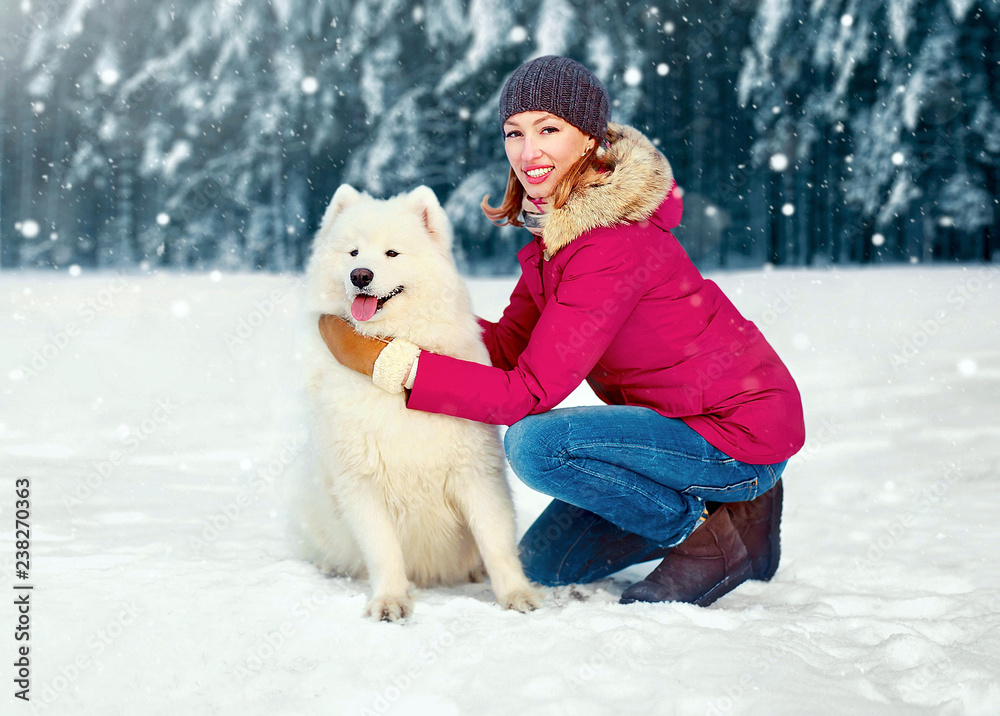 Portrait cheerful smiling owner woman sitting with white Samoyed dog on snow, walking on winter day in snowy park