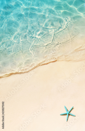 Fototapeta Starfish on the summer beach. Summer background. Tropical sand beach