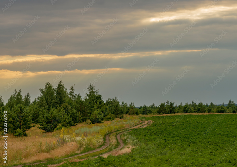 Summertime.Sunny summer landscape with ground country road passing through the fields and green meadows.Beautiful white clouds in deep blue sky