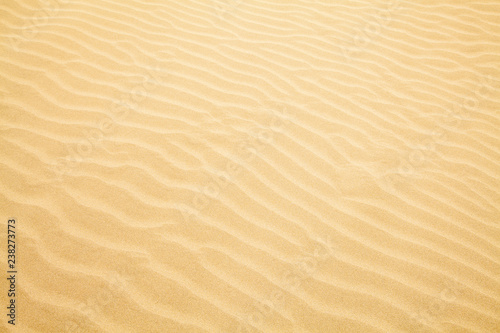Sand Ripple Wave Background.