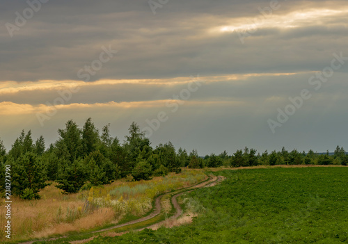 Fototapeta Naklejka Na Ścianę i Meble -  Summertime.Sunny summer landscape with ground country road passing through the fields and green meadows.Beautiful white clouds in deep blue sky