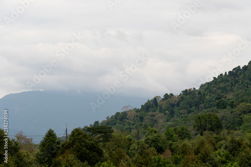 Forest area on mountain with fog and cloud at Chanthaburi Thailand. © thongchainak