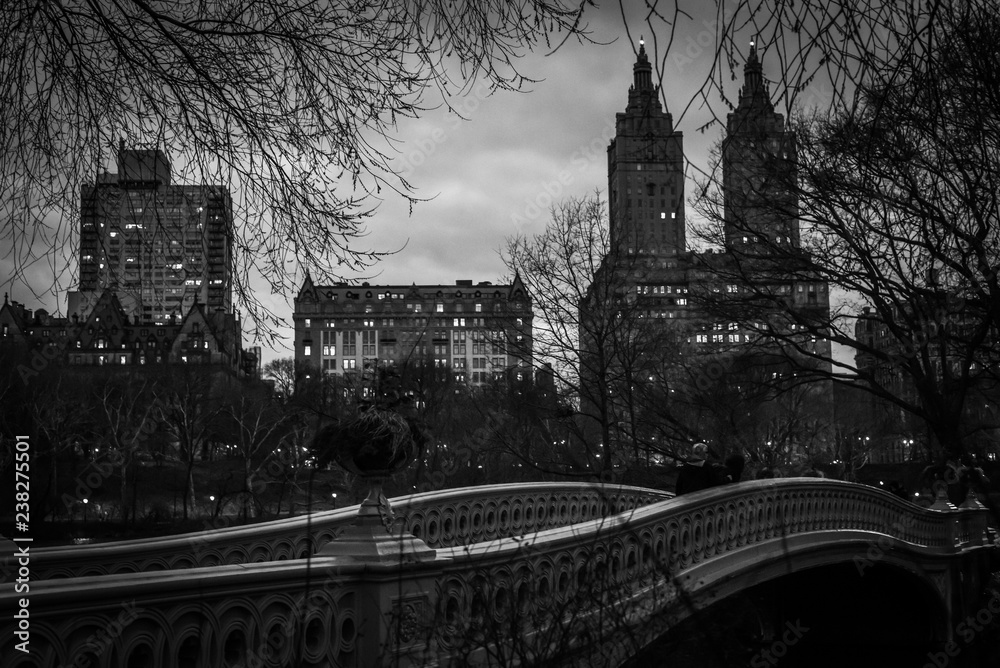 Obraz premium Bow Bridge in Central Park in Black and White - New York City, NY