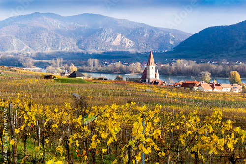 Weissenkirchen. Wachau valley. Lower Austria. Autumn colored leaves and vineyards on a sunny day. photo