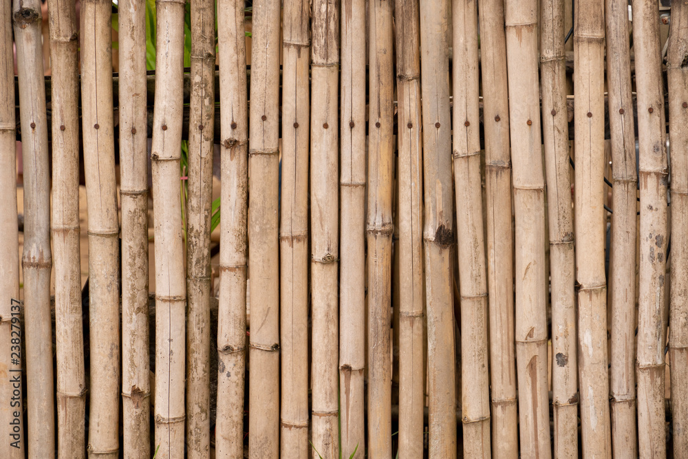 Dry bamboo that is arranged in the background Dry bamboo that is arranged in the background