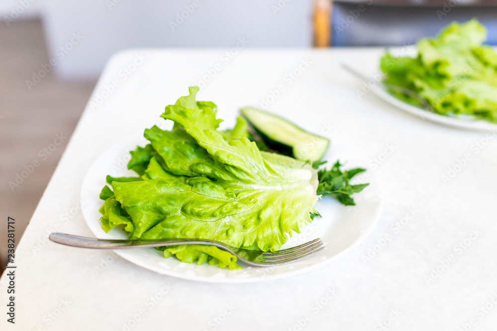 Closeup of fresh raw, local butter lettuce on two white plates in Iceland, vibrant green color, salad, fork and table Closeup of fresh raw, local butter lettuce on two white plates in Iceland, vibrant green color, salad, fork and table