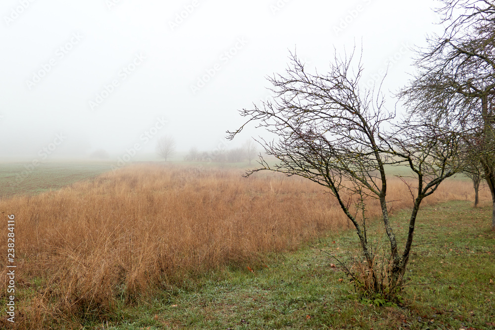 Obraz premium Nebeliger Tag