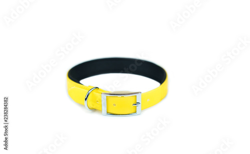 Pet collars isolated on white background. Pet accessories concept