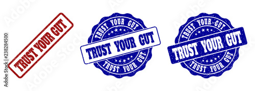 TRUST YOUR GUT grunge stamp seals in red and blue colors. Vector TRUST YOUR GUT marks with grainy style. Graphic elements are rounded rectangles, rosettes, circles and text tags.