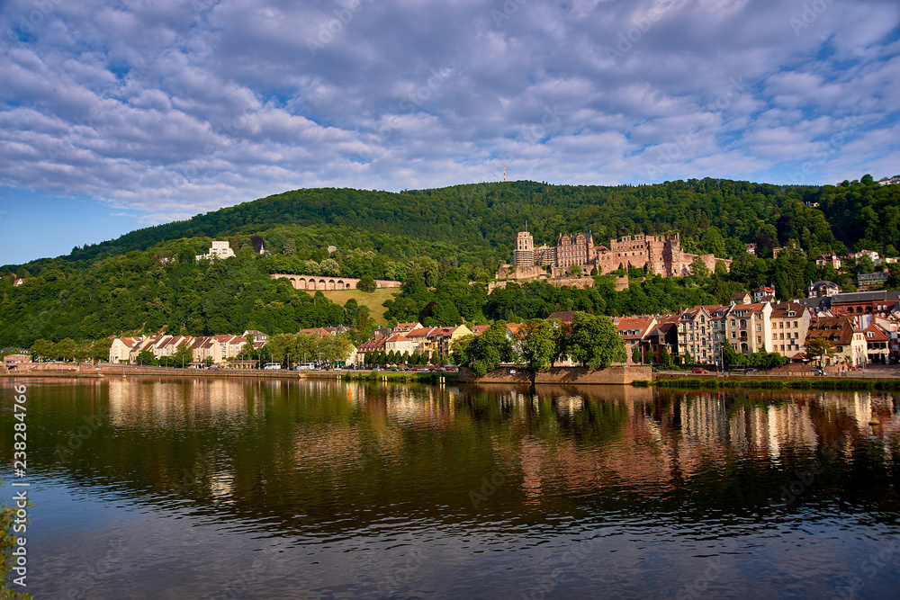 historic ruin of castle Heidelberg