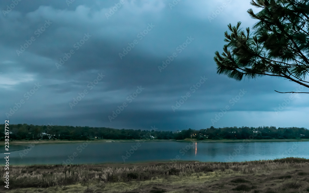 Lake in the woods at noon