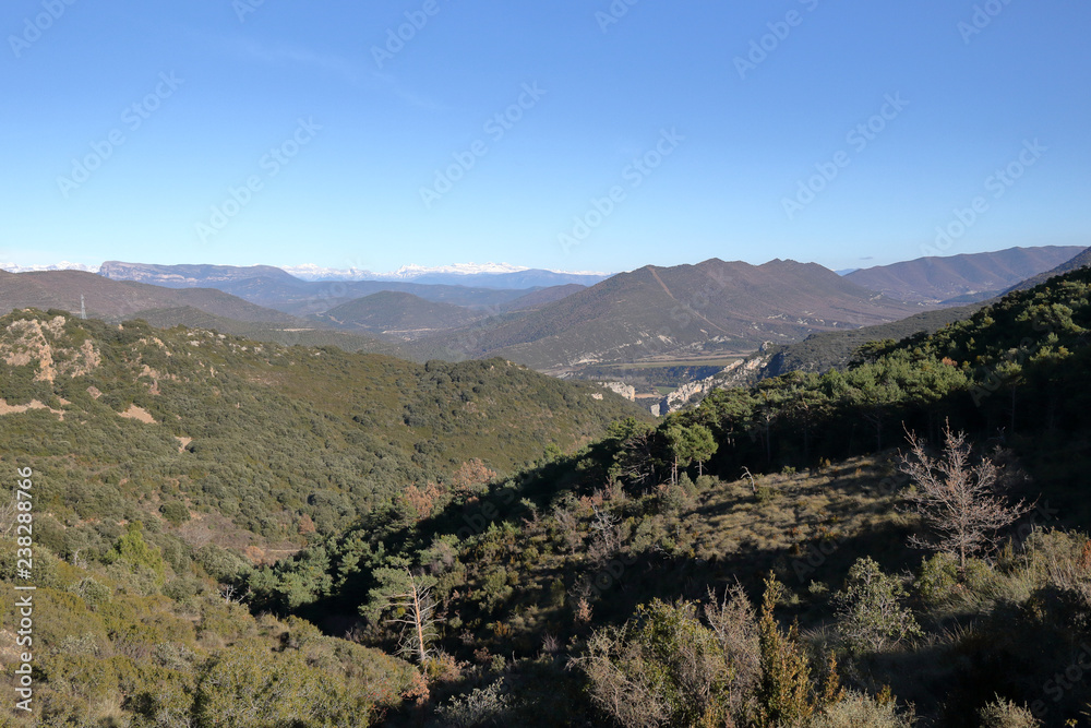 A landscape of the pre-Pyrenees lands and mountains, with fir and pine tree forests, on the way from Riglos to La Peña in winter, Aragon, Spain