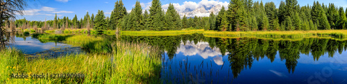 Reflected View of the Tetons, Wyoming