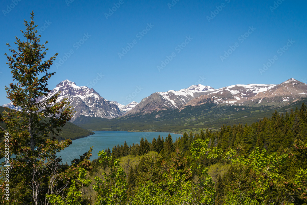 river water snow covered mountains pine trees landscape 
