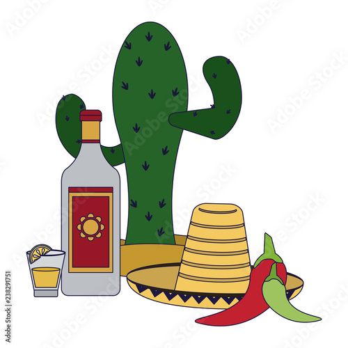 Tequila mexican drink