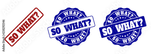 SO WHAT? scratched stamp seals in red and blue colors. Vector SO WHAT? marks with dirty style. Graphic elements are rounded rectangles, rosettes, circles and text titles.